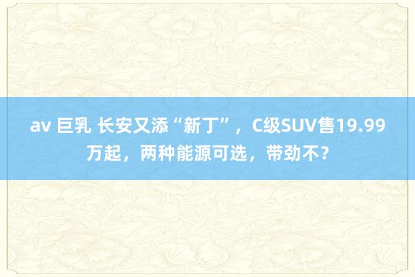 av 巨乳 长安又添“新丁”，C级SUV售19.99万起，两种能源可选，带劲不？